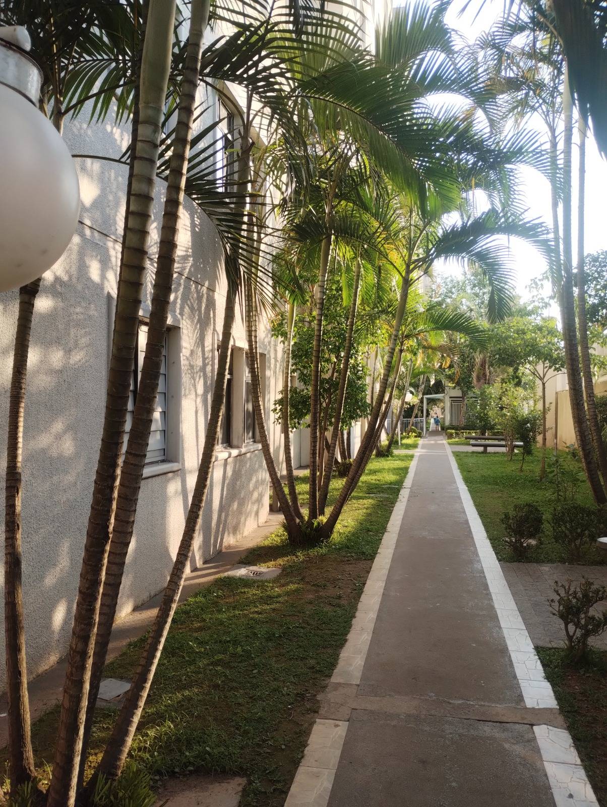 Apartamento, 3 quartos, 53 m² - Foto 40