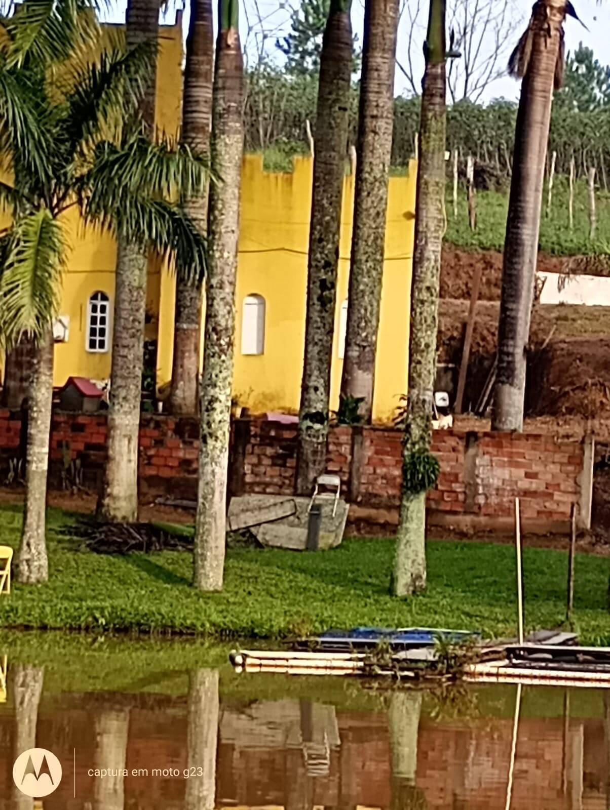 Terreno, 5 hectares - Foto 1
