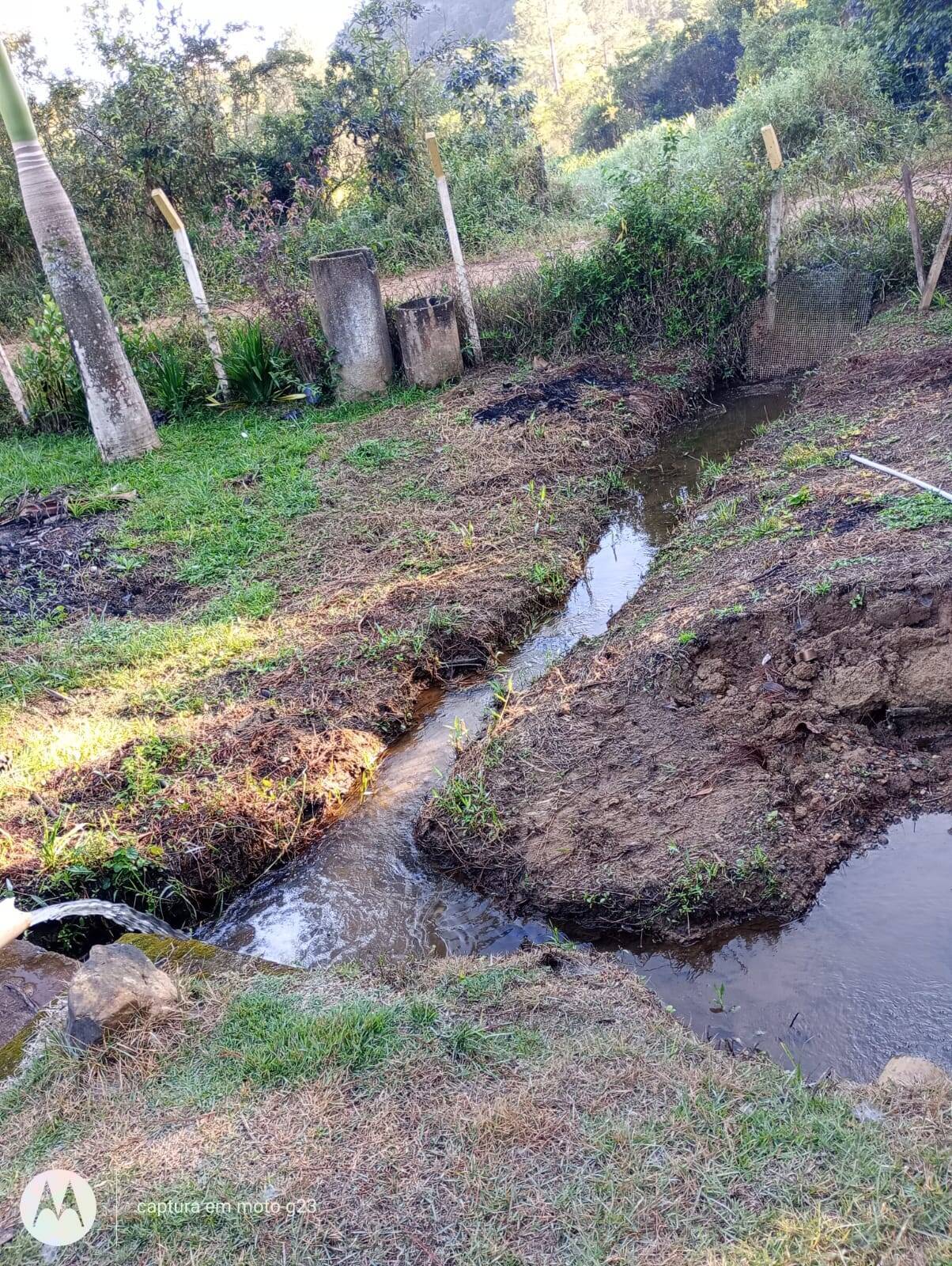 Terreno, 5 hectares - Foto 6