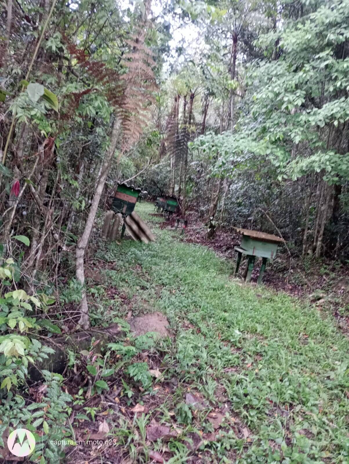 Terreno, 5 hectares - Foto 9