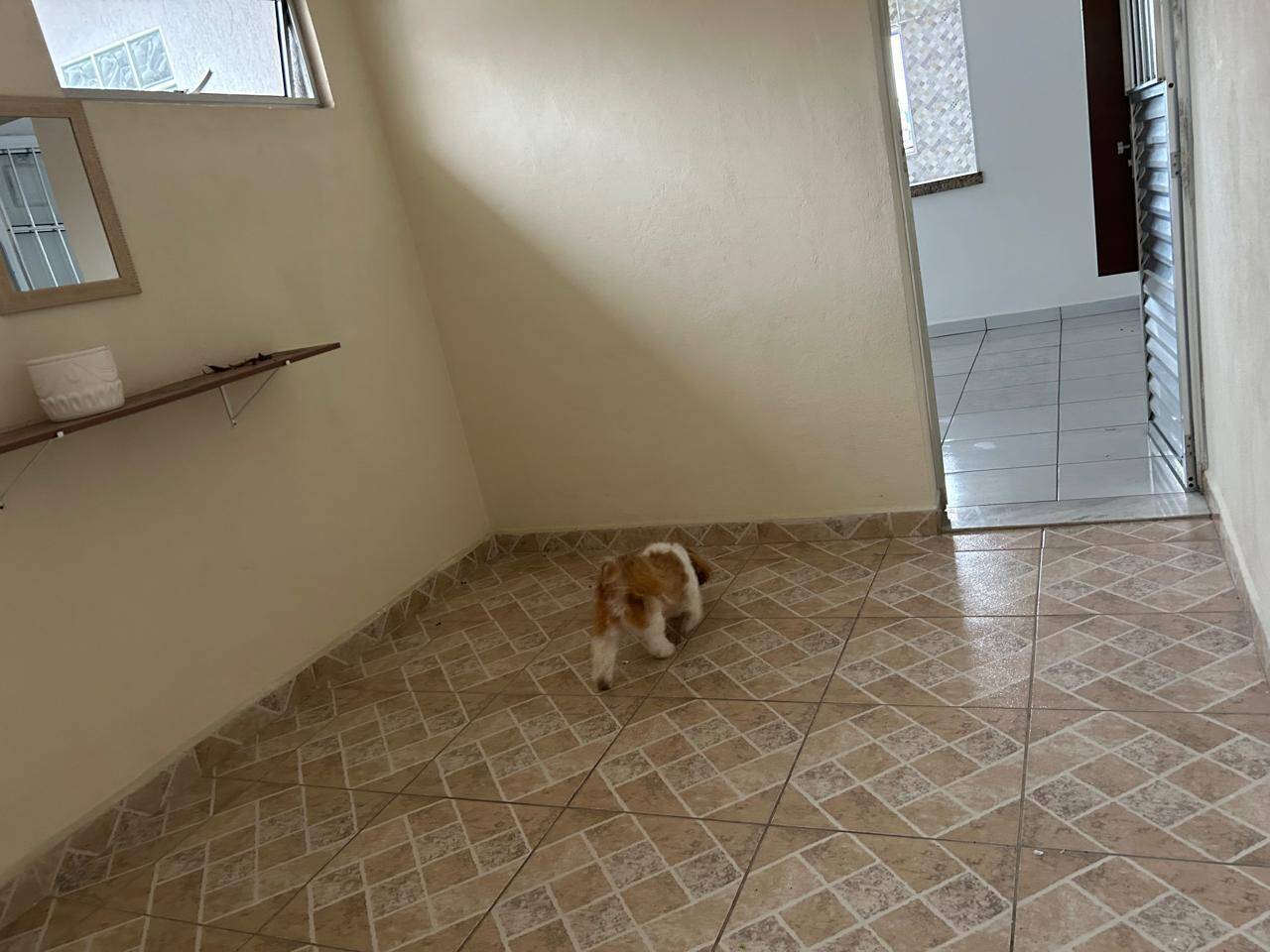 Casa, 3 quartos, 100 m² - Foto 6