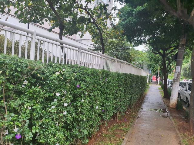 Apartamento para Locação em São Paulo - 4