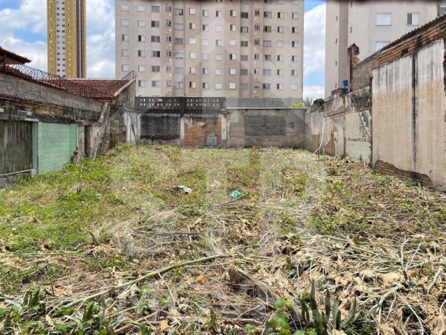 #174 - Área para Venda em São Paulo - SP