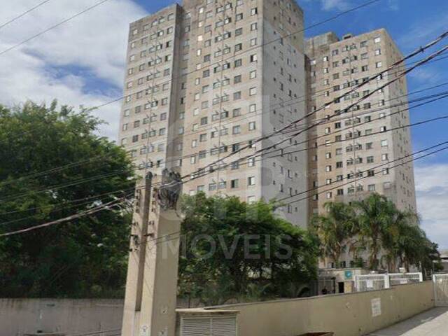 Locação em Quinta da Paineira - São Paulo