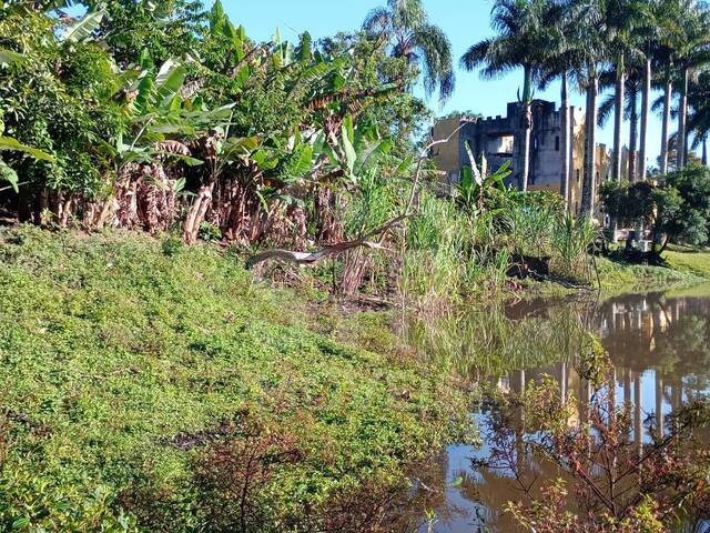 Sítio para Venda em Juquitiba - 4