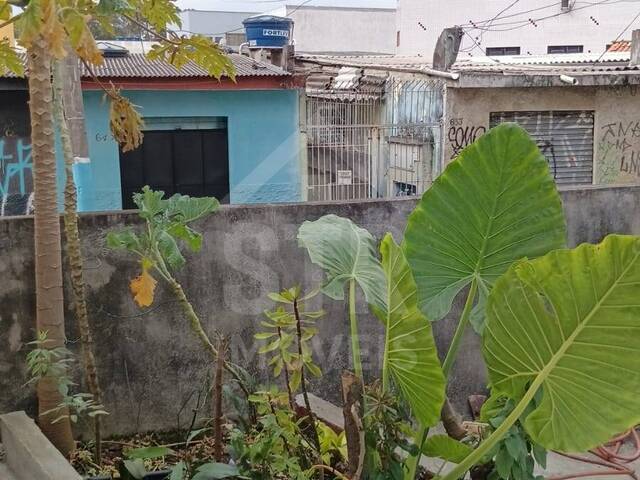 Casa para Locação em São Paulo - 3