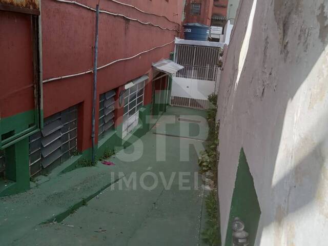 Casa para Locação em São Paulo - 2